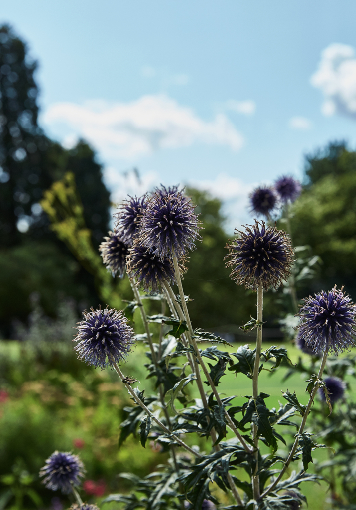 Botanic Garden Cambridge England