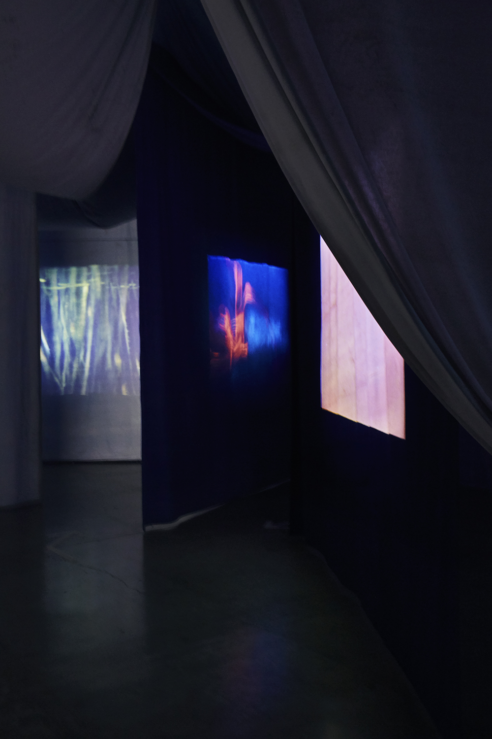 Ulla von Brandenburg, Le milieu est bleu (Palais de Tokyo, 2020)
