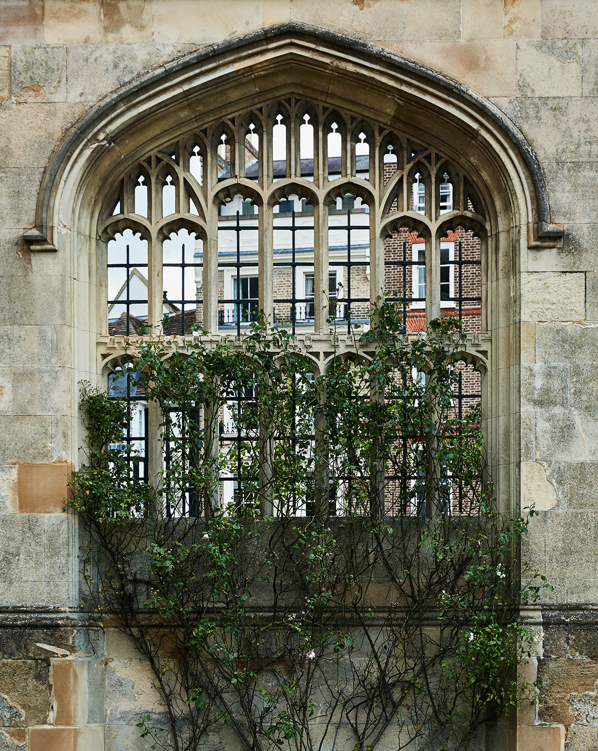 Cambridge, Though the window