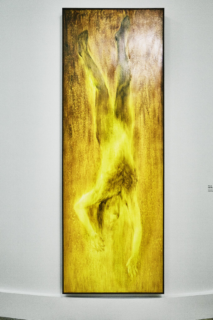 Prix Marcel Duchamp 2025, Xie Lei - Fall VIII (Musée d'Art Moderne de Paris)